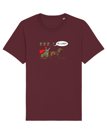 pe CARE Burgundy