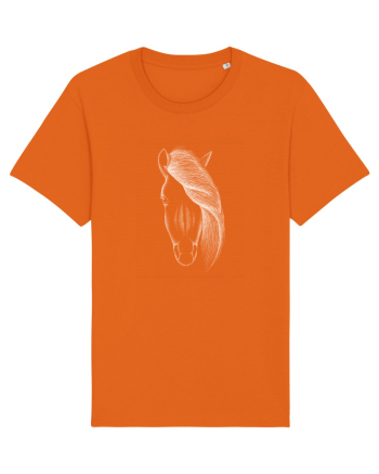 Beauty Bright Orange