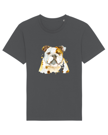 Bulldog Anthracite