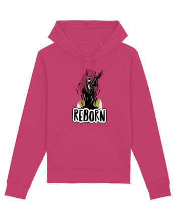 REborn - REnascut Raspberry