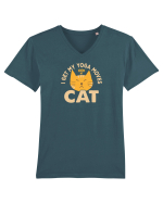 I Get My Yoga Moves From My Cat Tricou mânecă scurtă guler V Bărbat Presenter