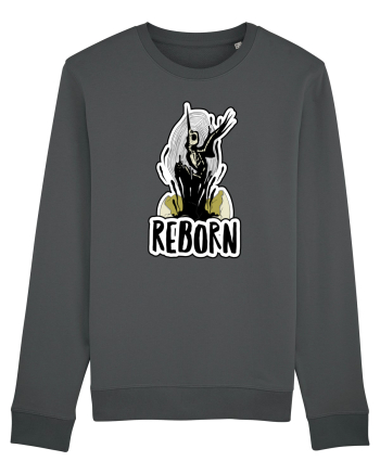 REborn - REnascut Anthracite