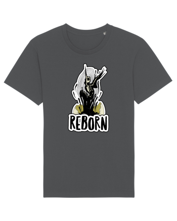 REborn - REnascut Anthracite