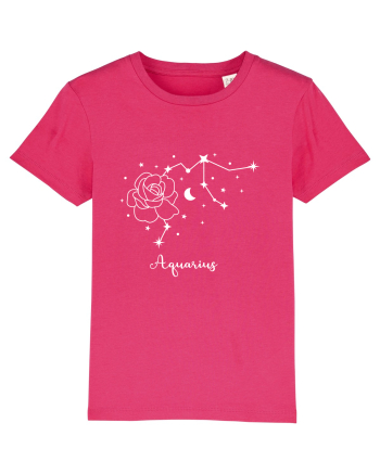 Aquarius Varsator  Raspberry