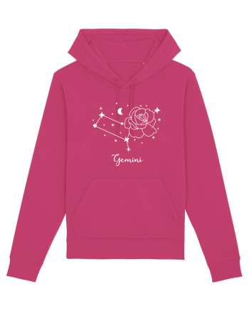 Gemini Gemeni Raspberry