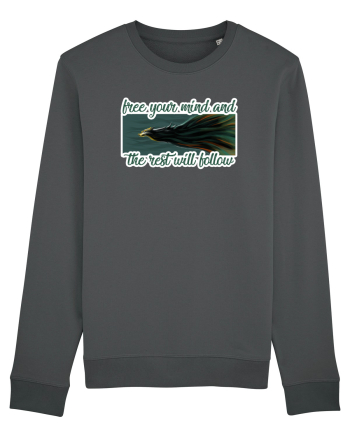 Wild - Salbatic Anthracite