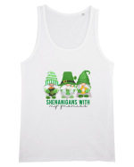 Shenanigans With My Gnomies Maiou Bărbat Runs