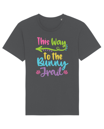 This way to the Bunny Trail Anthracite