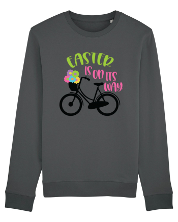 Easter is on its Way Anthracite