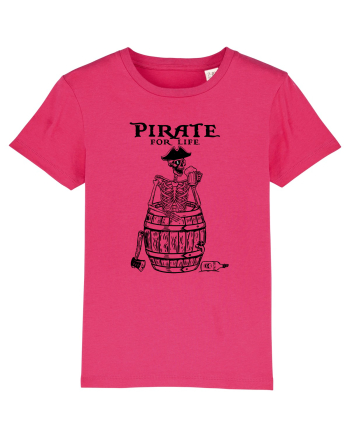 PIRAT pe viata Raspberry