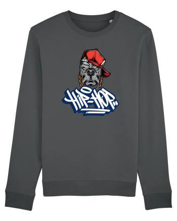 Hip-Hop And Rap Lovers Anthracite