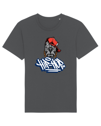 Hip-Hop And Rap Lovers Anthracite