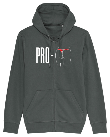 Profund Anthracite