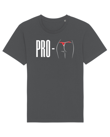 Profund Anthracite