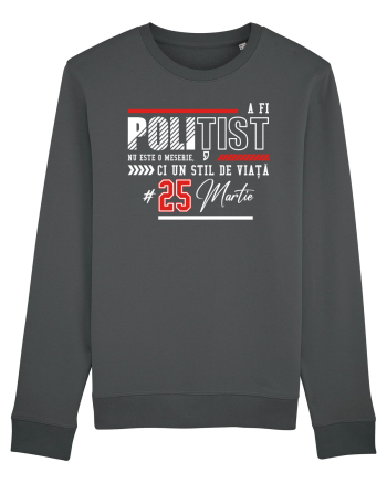 Politist Anthracite