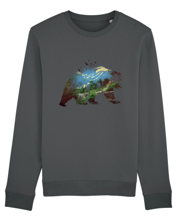 Bear landscape Anthracite