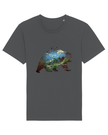 Bear landscape Anthracite