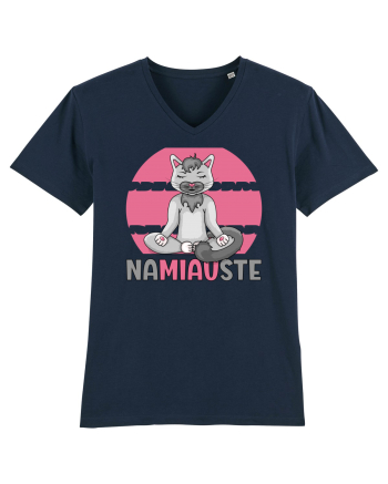 NaMIAUste French Navy