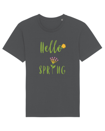 Hello Spring Anthracite