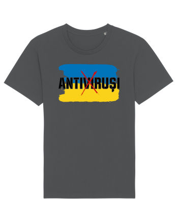 ANTIVIRUȘI Anthracite