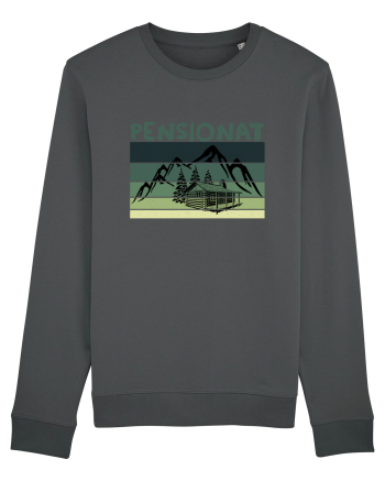 Pensionat / Retired  Anthracite
