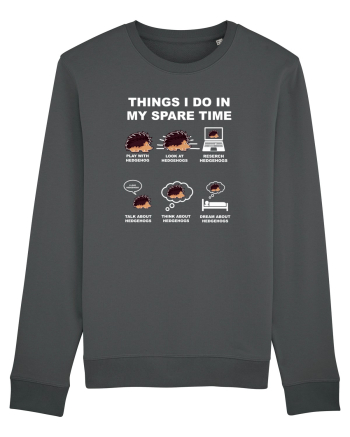 HEDGEHOGS Anthracite