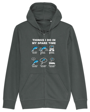 DOLPHINS Anthracite