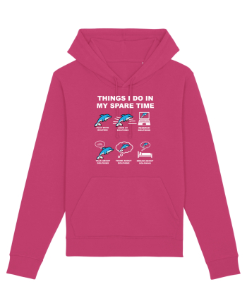 DOLPHINS Raspberry