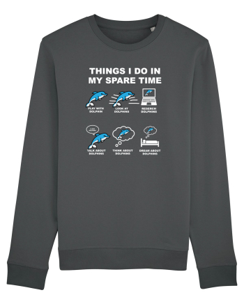 DOLPHINS Anthracite