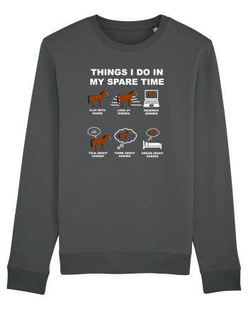 HORSES Anthracite