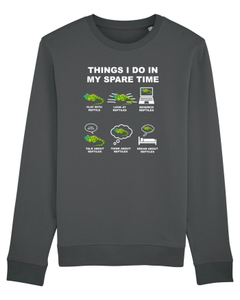 REPTILES Anthracite