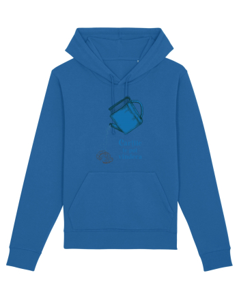 Cărțile te pot vindeca  Royal Blue