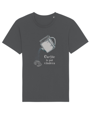 Cărțile te pot vindeca  - white Anthracite