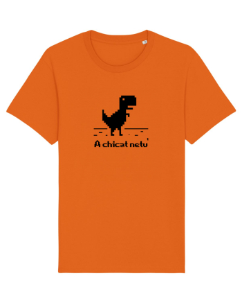 A chicat netu' Bright Orange