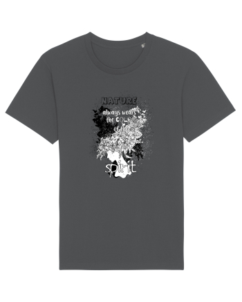 Spirit Anthracite