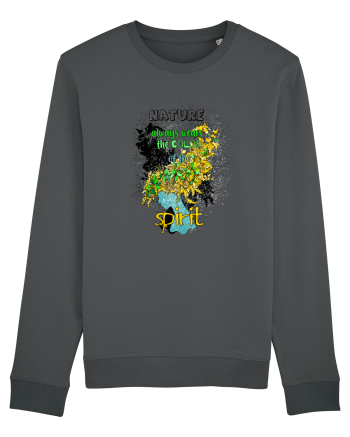 Spirit Anthracite