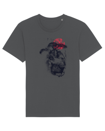The Lion Sunset Anthracite