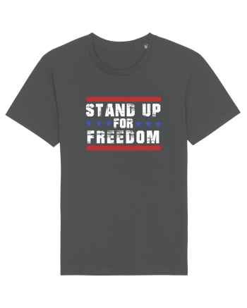 Stand Up for Freedom Anthracite