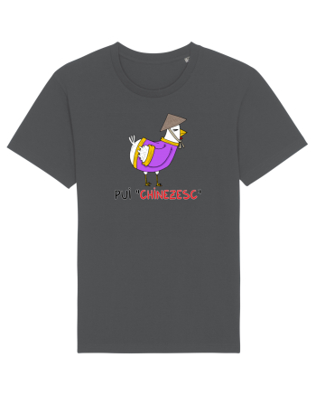 Pui „chinezesc• Anthracite