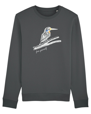 Bird Anthracite