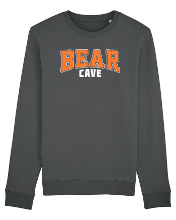 Bear Cave Anthracite
