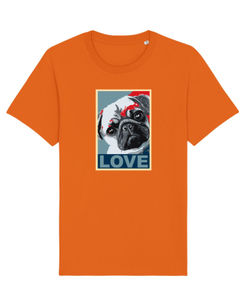 Love Dogs Bright Orange