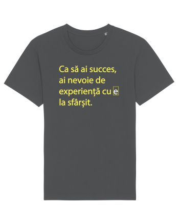 Succes Anthracite