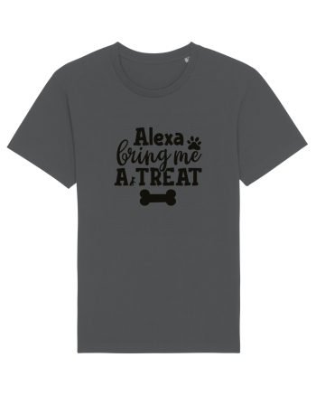 Alexa, Bring Me A Treat Anthracite
