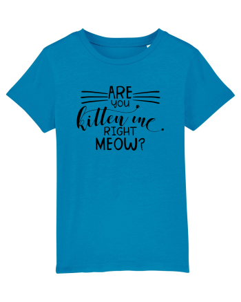 Are You Kitten Me Right Meow Azur