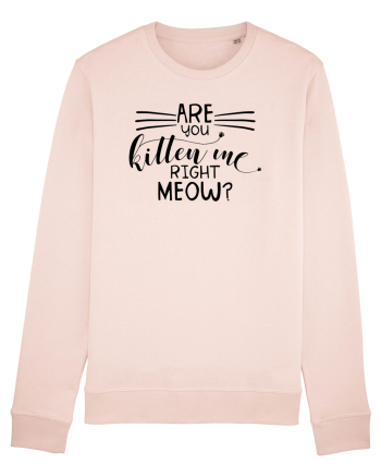 Are You Kitten Me Right Meow Candy Pink