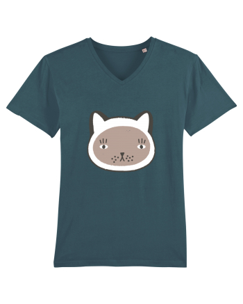 Baby Cat Stargazer