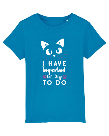 I have Important Cat Stuff To Do Azur