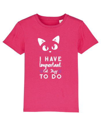 I have Important Cat Stuff To Do Raspberry