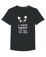 I have Important Cat Stuff To Do Tricou mânecă scurtă guler larg Bărbat Skater